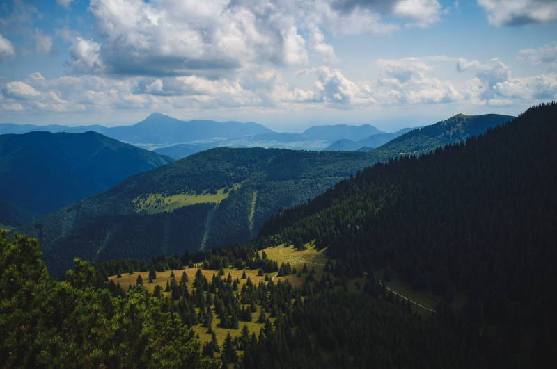 Turistika a medvede Malá Fatra